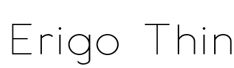 Erigo Thin
