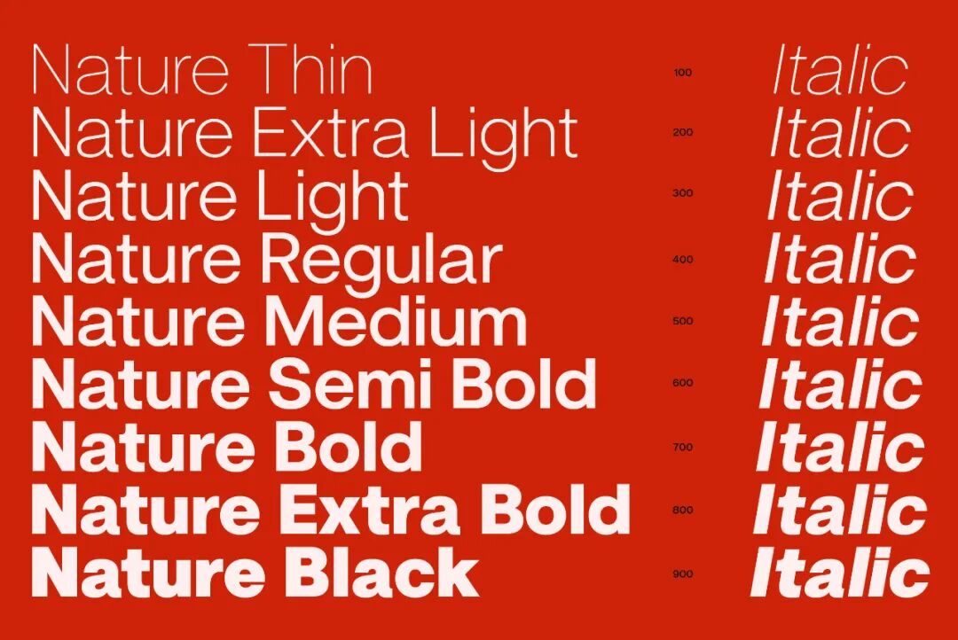 ZT Nature 可免费商用无衬线英文字体