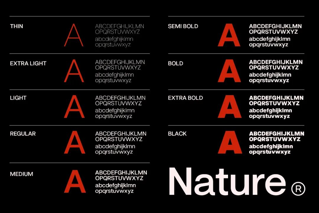 ZT Nature 可免费商用无衬线英文字体