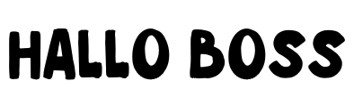 Hallo Boss