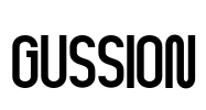 GUSSION