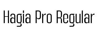 Hagia Pro Regular
