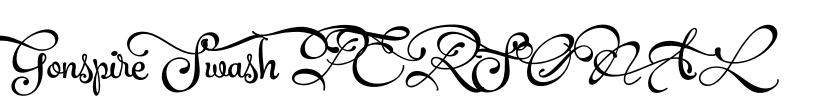 Gonspire Swash PERSONAL
