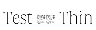 Test 11 Thin