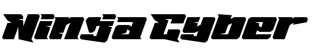 Ninja Cyber