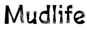 Mudlife