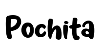 Pochita