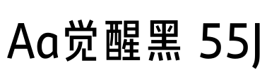 Aa觉醒黑 55J