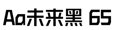 Aa未来黑 65