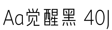 Aa觉醒黑 40J