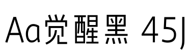 Aa觉醒黑 45J