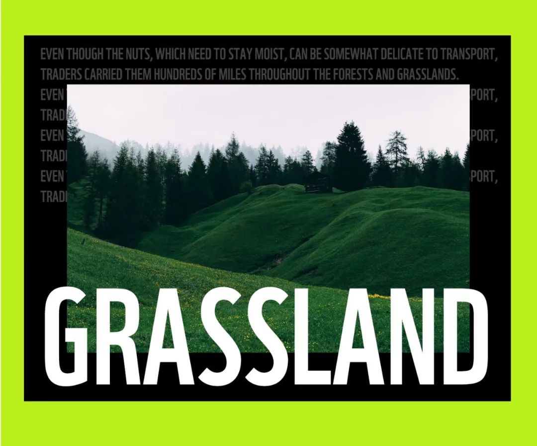 字体推荐Aa星球黑｜世界地球日，与世界同频呼吸