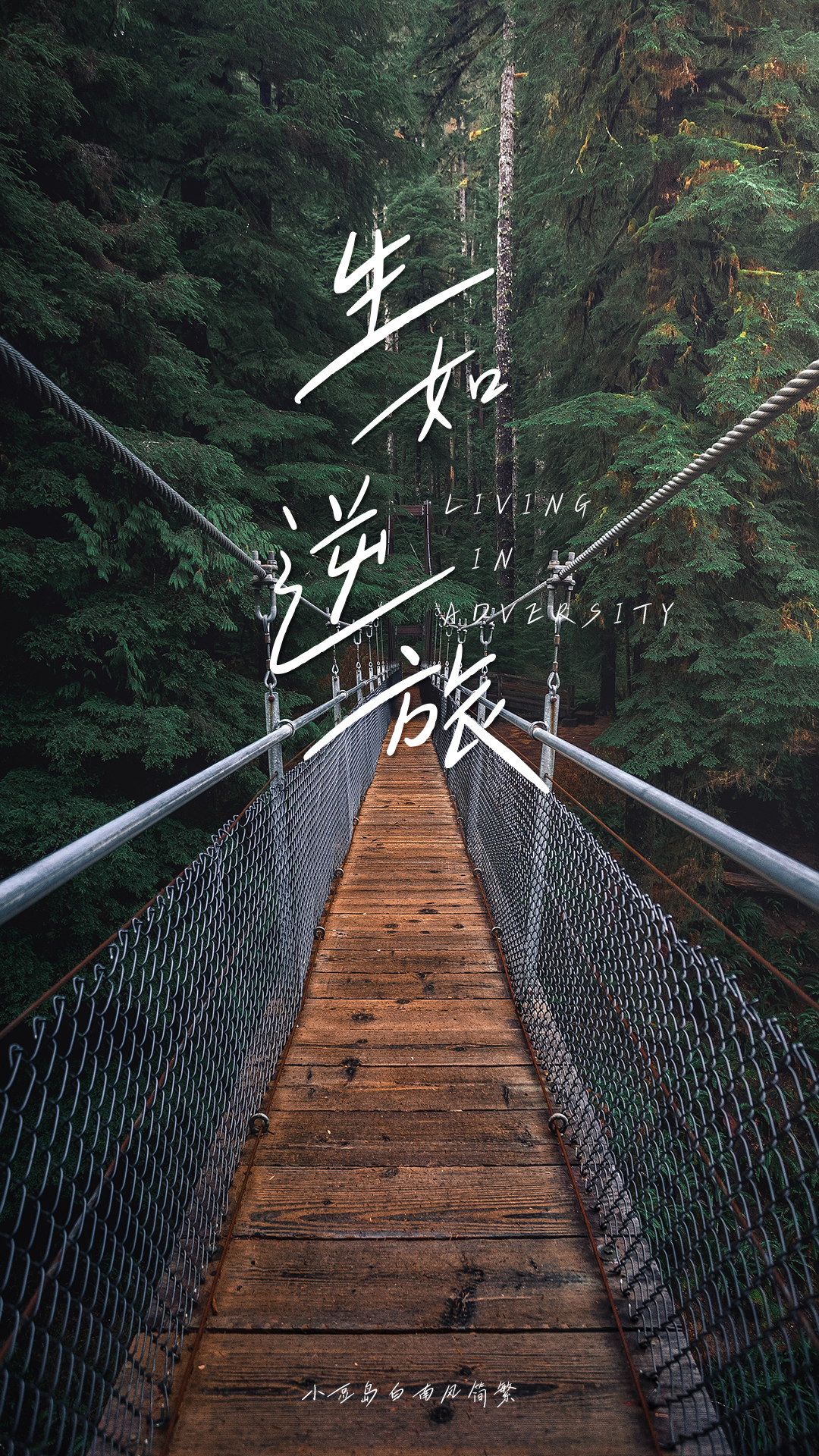 清新文艺手写字体—小豆岛2款字体上线！